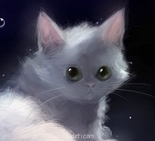 Посвящаем картинку - Котик.jpg