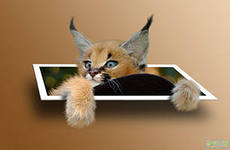 Поговорим о разных картинках:3D,рисованные картинки - RUSE.jpeg