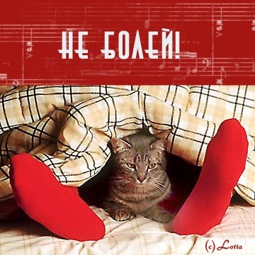 Выздоравливайте - image.jpg