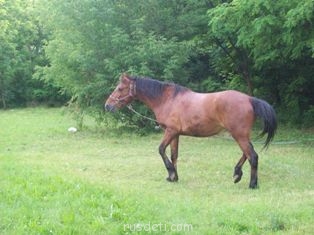 Природа вокруг нас - 100_2165.jpg