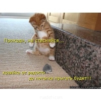Смешные картинки про котов - picture_thumb_contest_51792.jpg