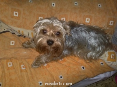 Очаровательные животные - x_485b0067.jpg