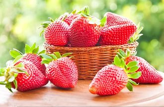 Растительная пища - Уi.jpg