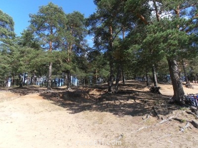 Берег Озёрка в Лодейном Поле