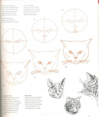 Учимся рисовать - кошки_2.jpg