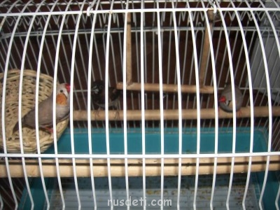 Кто какое животное хочет? - SPA56675.JPG