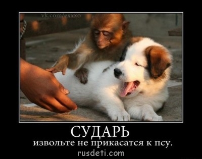 Посвящаем картинку - сударь.jpg