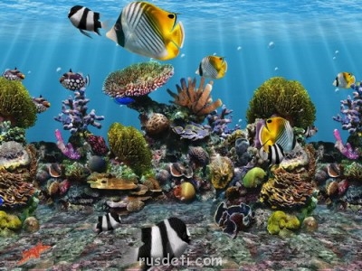 Поговорим о разных картинках:3D,рисованные картинки - Тридэшка.jpg