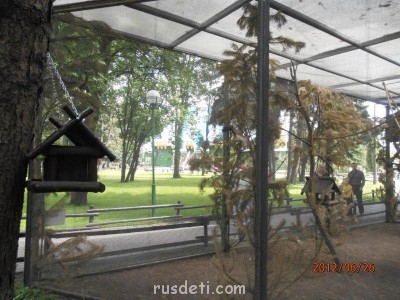 Каникулы или куда мы едем отдыхать  - P6260001.JPG