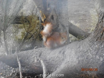 Каникулы или куда мы едем отдыхать  - P6260006.JPG