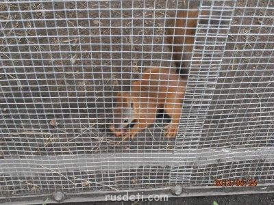 Каникулы или куда мы едем отдыхать  - P6260004.JPG