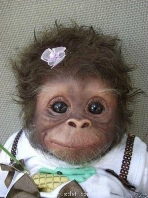 Посвящаем картинку - обезьяночка.jpg