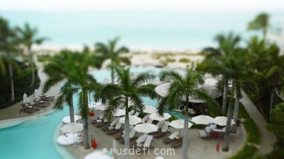 Посвящаем картинку - 838111923_c9364de1a3.jpg