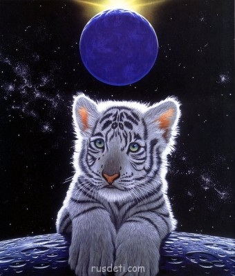 Поговорим о разных картинках:3D,рисованные картинки - Белый тигрёнок.jpg