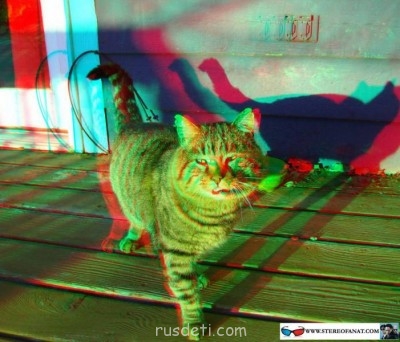 Поговорим о разных картинках:3D,рисованные картинки - rjirf.jpg