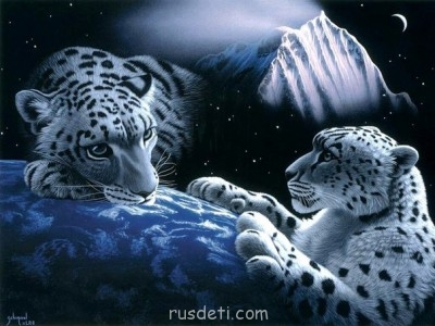 Поговорим о разных картинках:3D,рисованные картинки - Тигры.jpg