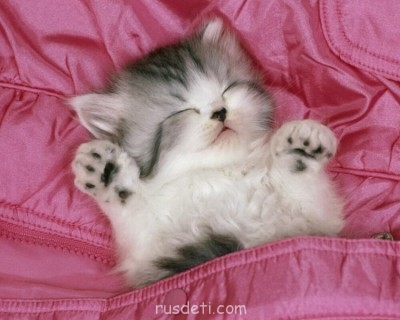 Посвящаем картинку - citty-1280.jpg