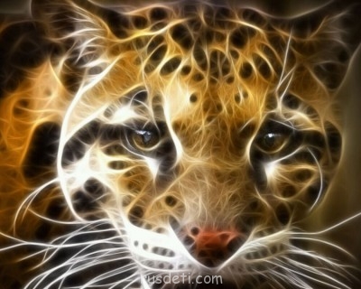 Посвящаем картинку - tigra-1280.jpg