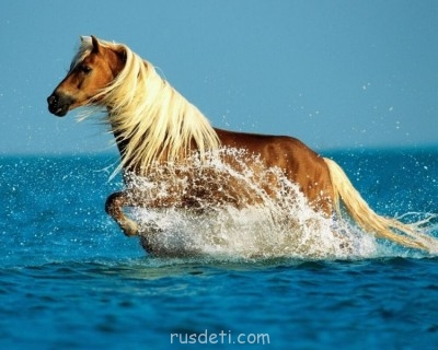 Посвящаем картинку - 9d15f60ed0b97cb1a21b5-1280.jpg