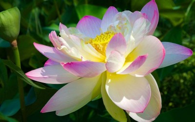 Посвящаем картинку - 1995232.jpeg