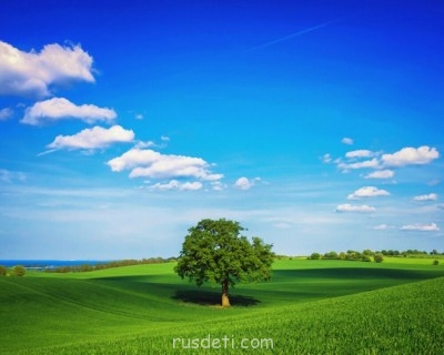 Посвящаем картинку - a618549ddf712fbfd5516-1280.jpg