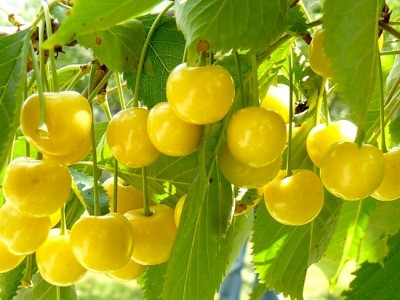 Посвящаем картинку - _-_2.jpeg