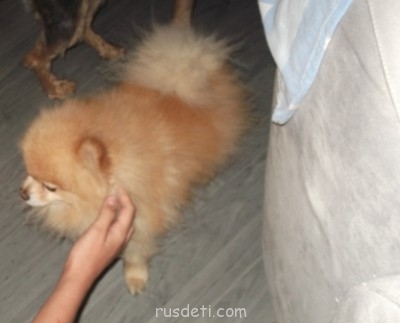 БоЛталкА 2 ТЕМА ЗАКРЫТА. - DSCF1523.JPG