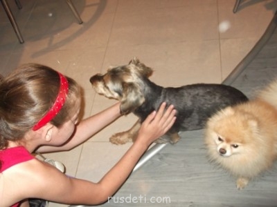 БоЛталкА 2 ТЕМА ЗАКРЫТА. - DSCF1529.JPG