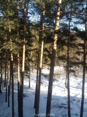 Муром - IMG_20130226_161249.jpg