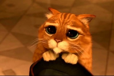 Посвящаем картинку - 59ea613033f43d8ad0d45786d506b6fc.jpeg