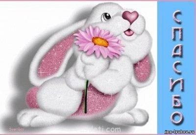 Сервируем стол - x_b7ed9af1.jpg