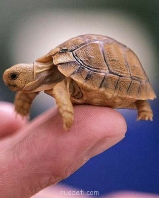 Посвящаем картинку - PtnYOBv-gEQ.jpg