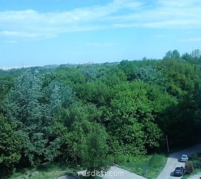 Природа вокруг нас - IMG00420.jpg