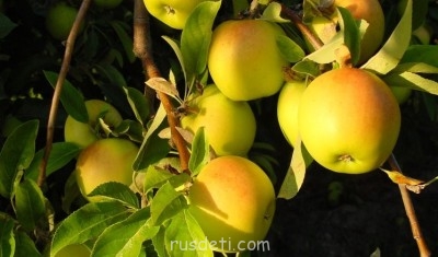 Посвящаем картинку - photo_11.jpg