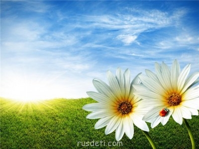 БоЛталкА 2 ТЕМА ЗАКРЫТА. - лето.jpg