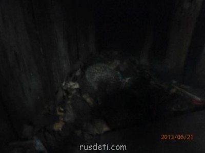 БоЛталкА 2 ТЕМА ЗАКРЫТА. - текущие фото-видео 002.jpg