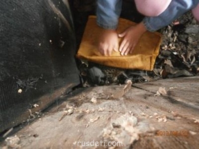 БоЛталкА 2 ТЕМА ЗАКРЫТА. - ёжик1.jpg