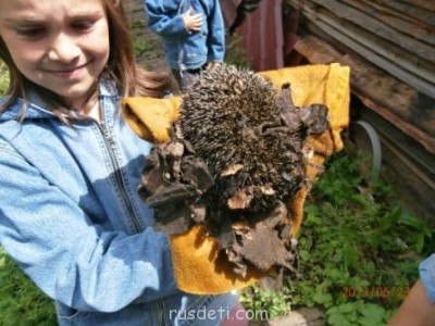 БоЛталкА 2 ТЕМА ЗАКРЫТА. - ёжик2.jpg