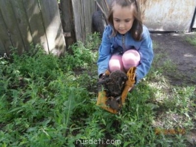 БоЛталкА 2 ТЕМА ЗАКРЫТА. - ёжик3.jpg