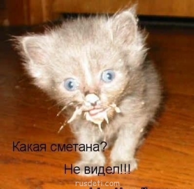 Смешные картинки про котов - prikolnye-kartinki-zhivotnyx-s-podpisjami_18483_s__40.jpg