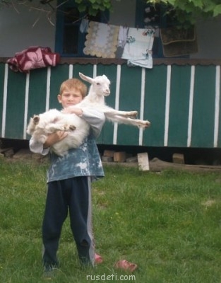 Наши домашние питомцы. - x_5067b5a1.jpg