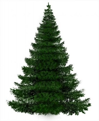 НАРЯЖАЕМ ЁЛОЧКУ  - 13195346_post183011165664711.jpg