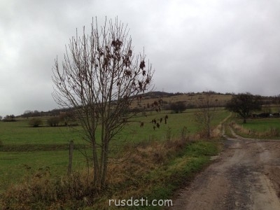 Где мы были. - image.jpg