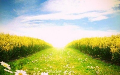 Посвящаем картинку - AXE86cNxl7Y.jpg