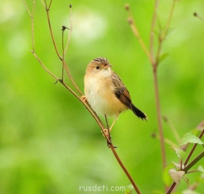 Посвящаем картинку - image.jpg