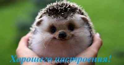 БоЛталкА 2 ТЕМА ЗАКРЫТА. - G1jLzh1CqOk.jpg