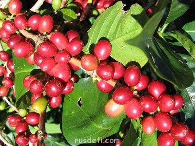 Никарагуа - nicarag11.jpg