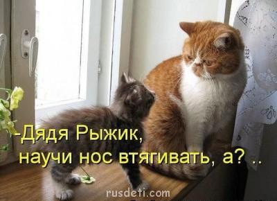 Посвящаем картинку - boMnjVAA4O0-e1358726116572.jpg