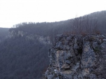 БоЛталкА 2 ТЕМА ЗАКРЫТА. - DSC00655.JPG