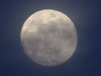 БоЛталкА 2 ТЕМА ЗАКРЫТА. - DSC00669.JPG